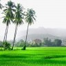 suliwa