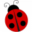 qi bug